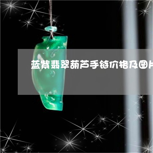 蓝紫翡翠葫芦手链价格及图片/2023092806272