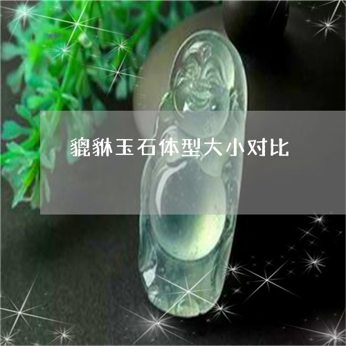 貔貅玉石体型大小对比/2023090535252