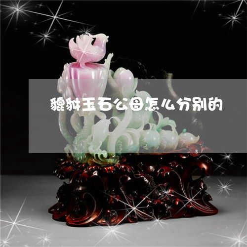 貔貅玉石公母怎么分别的/2023111560493