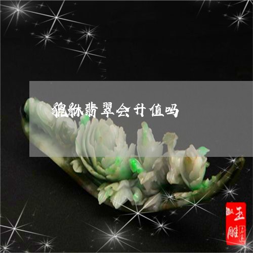 貔貅翡翠会升值吗/2023100645061