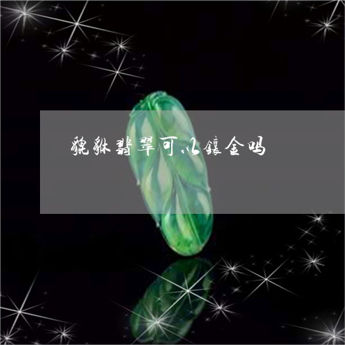 貔貅翡翠可以镶金吗/2023100749471