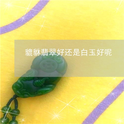 貔貅翡翠好还是白玉好呢/2023041371614