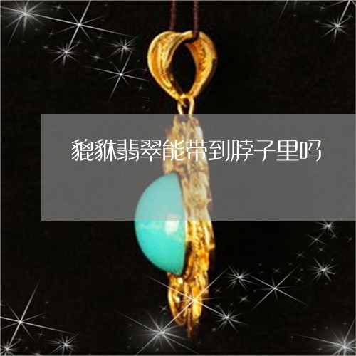 貔貅翡翠能带到脖子里吗/2023041368370