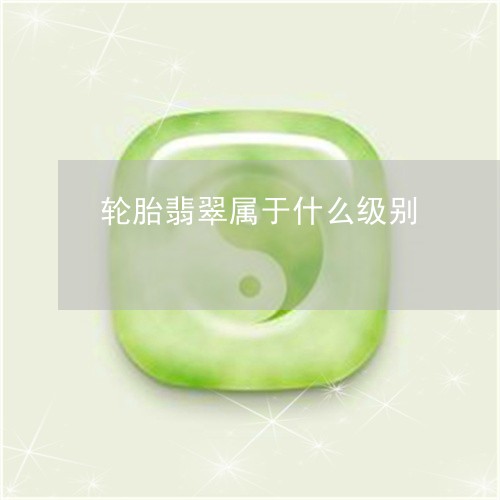 轮胎翡翠属于什么级别/2023090629351