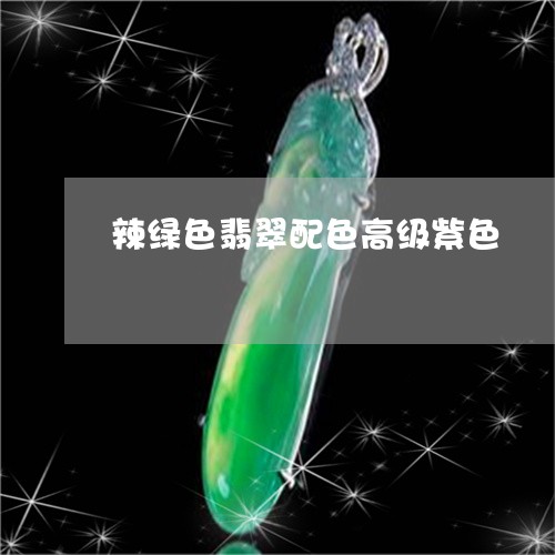 辣绿色翡翠配色高级紫色/2023041359271