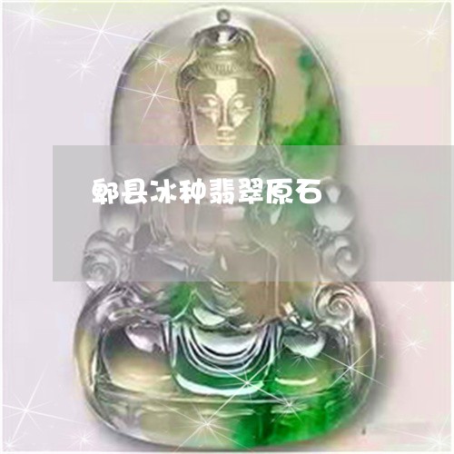 郫县冰种翡翠原石/2023062901714