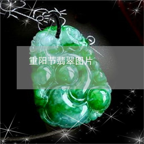 重阳节翡翠图片/2023080272605