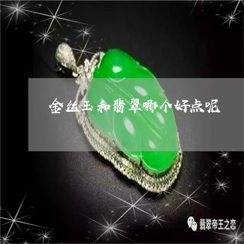 金丝玉和翡翠哪个好点呢/2023061648593