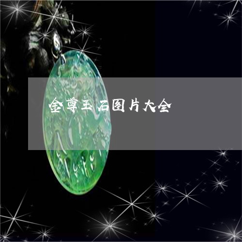 金尊玉石图片大全/2023062840795