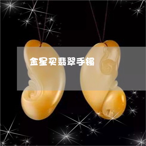 金星买翡翠手镯/2023080106351