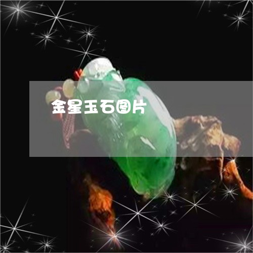 金星玉石图片/2023052731706