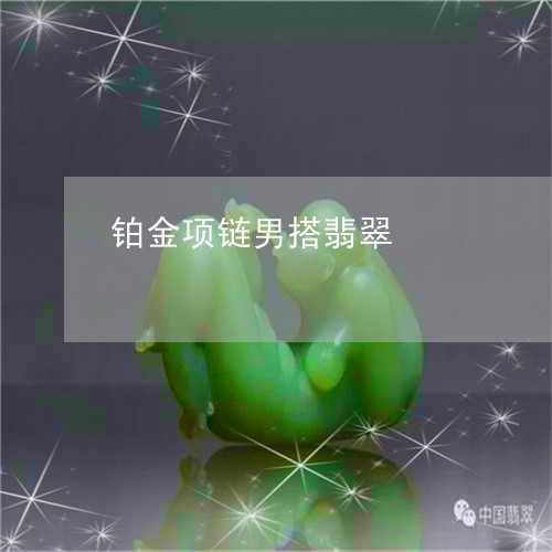 铂金项链男搭翡翠/2023062816138