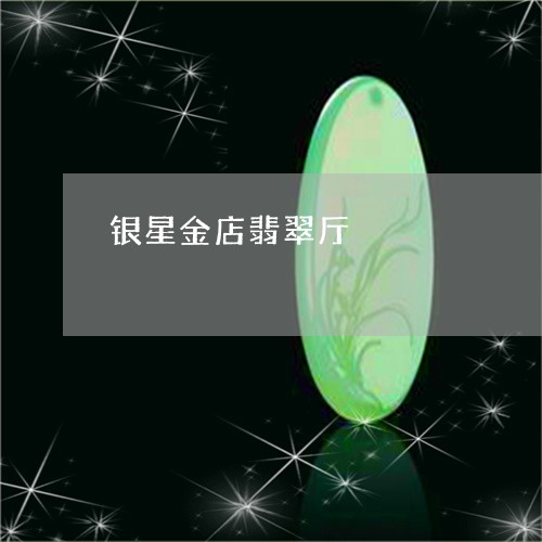 银星金店翡翠厅/2023111499481