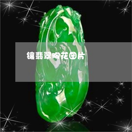 镶翡翠胸花图片/2023080102038