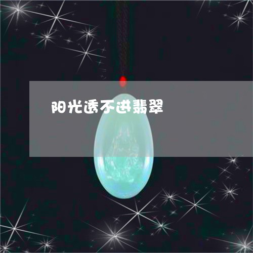 阳光透不进翡翠/2023080219303