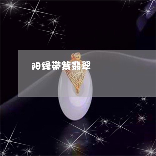 阳绿带紫翡翠/2023052706270