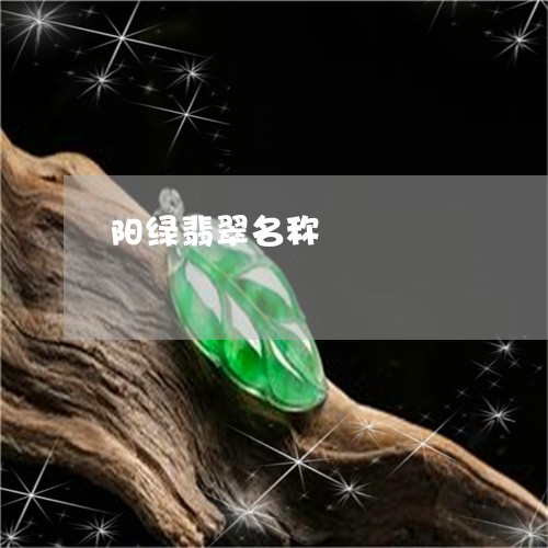 阳绿翡翠名称/2023052720493