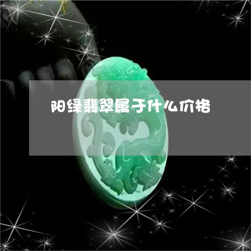 阳绿翡翠属于什么价格/2023051195158