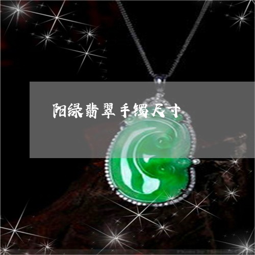 阳绿翡翠手镯尺寸/2023062892709