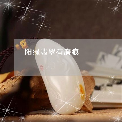 阳绿翡翠有磨痕/2023060900817