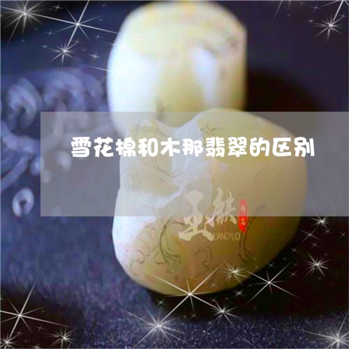 雪花棉和木那翡翠的区别/2023061658483