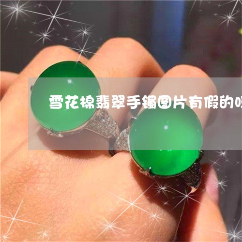 雪花棉翡翠手镯图片有假的吗/2023092725039