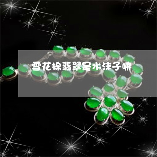 雪花棉翡翠是水沫子嘛/2023112507279