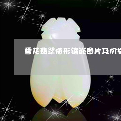 雪花翡翠随形镶嵌图片及价格/2023092780483