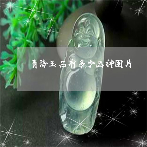 青海玉石有多少品种图片/2023061607250