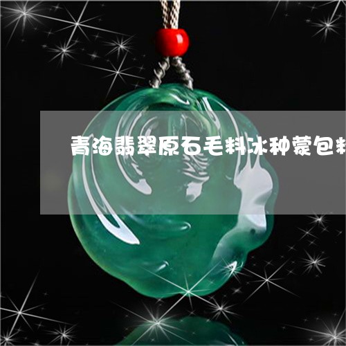 青海翡翠原石毛料冰种蒙包料/2023092778392