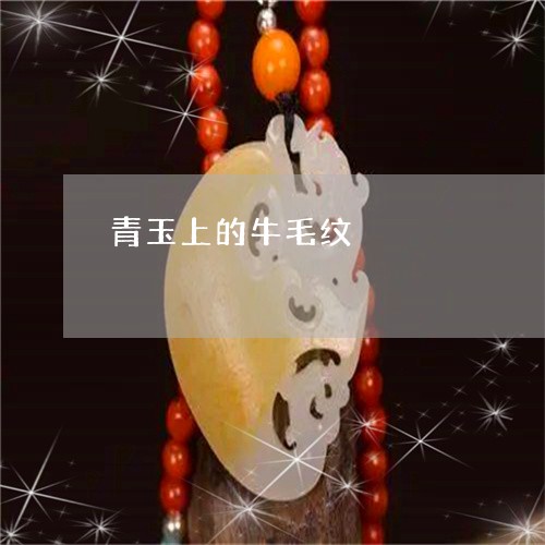 青玉上的牛毛纹/2023052098261