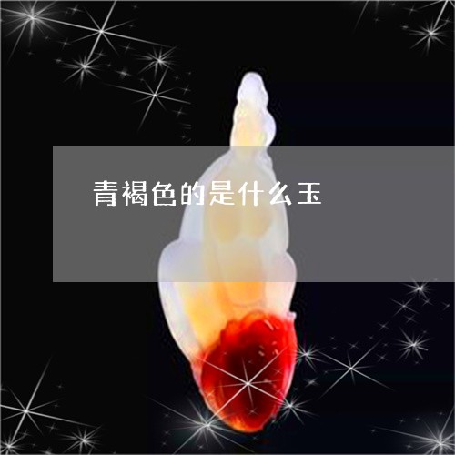 青褐色的是什么玉/2023052091504