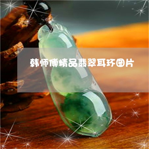 韩师傅精品翡翠耳环图片/2023061515268