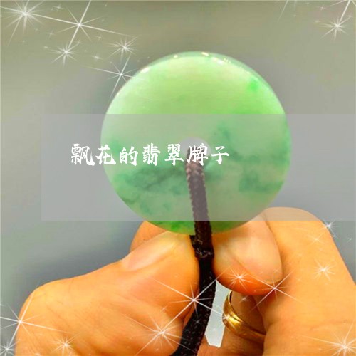 飘花的翡翠牌子/2023080149473