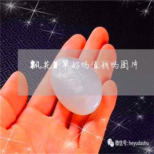 飘花翡翠好吗值钱吗图片/2023111707148