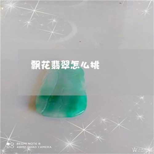 飘花翡翠怎么挑/2023060862705