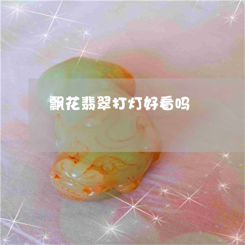 飘花翡翠打灯好看吗/2023120519692