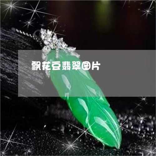 飘花豆翡翠图片/2023080126860