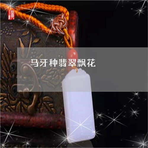 马牙种翡翠飘花/2023080192794