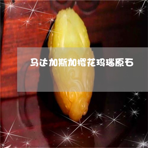 马达加斯加樱花玛瑙原石/2023061660492