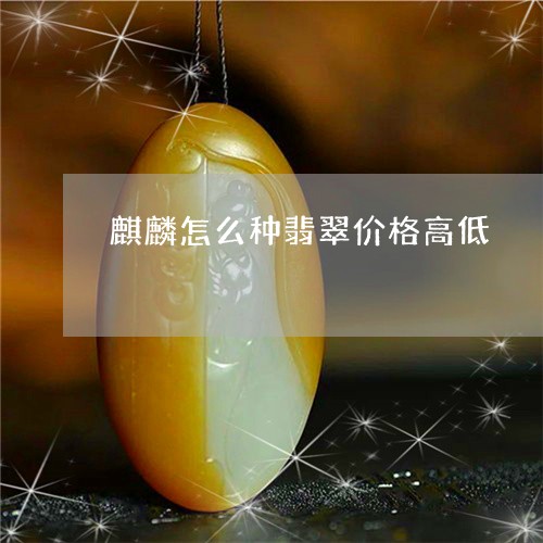 麒麟怎么种翡翠价格高低/2023061666168