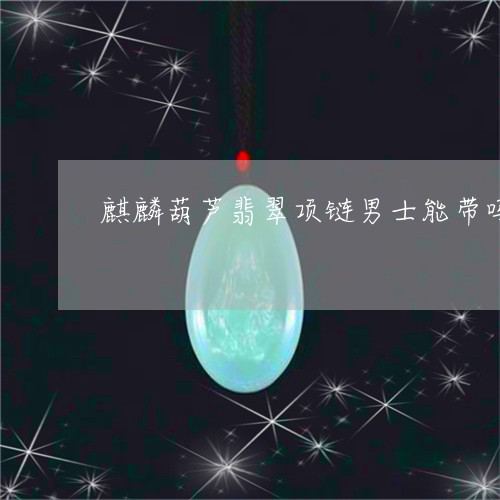 麒麟葫芦翡翠项链男士能带吗/2023092702605