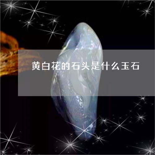 黄白花的石头是什么玉石/2023061695948