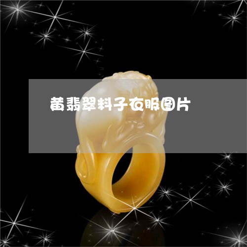 黄翡翠料子衣服图片/2023120544715