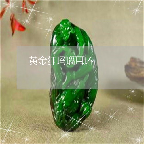 黄金红玛瑙耳环/2023060981835