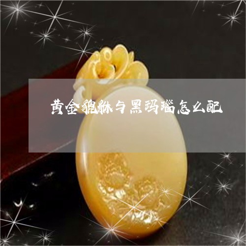 黄金貔貅与黑玛瑙怎么配/2023061698162