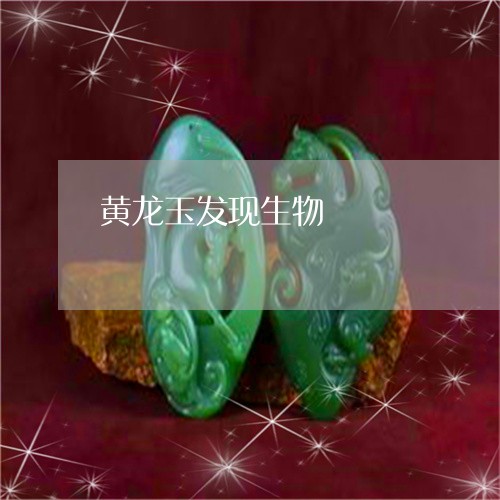 黄龙玉发现生物/2023092906040