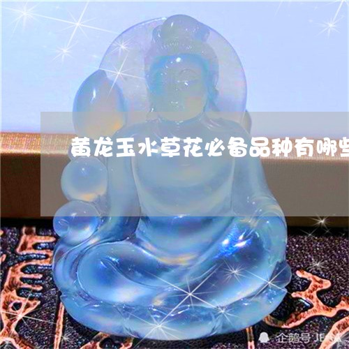 黄龙玉水草花必备品种有哪些/2023112301793