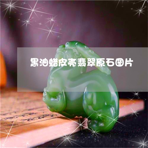 黑油蜡皮壳翡翠原石图片/2023061594927