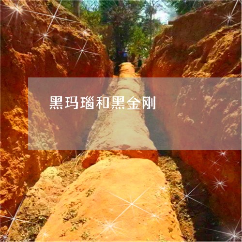 黑玛瑙和黑金刚/2023080152513